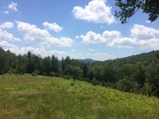 Southerly view over the pasture down the valley...