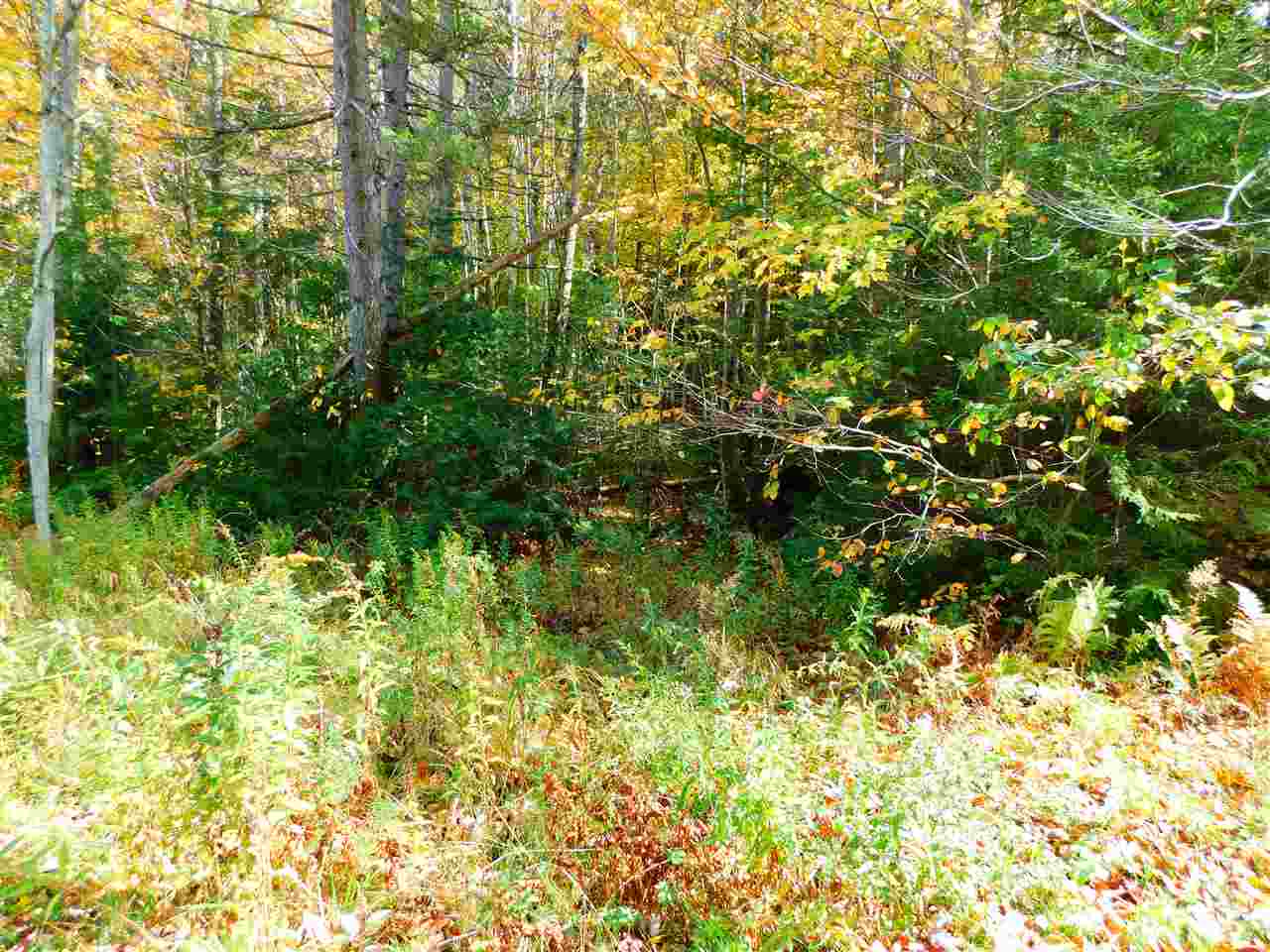 This beautiful 1.13 acre lot has mountain views...