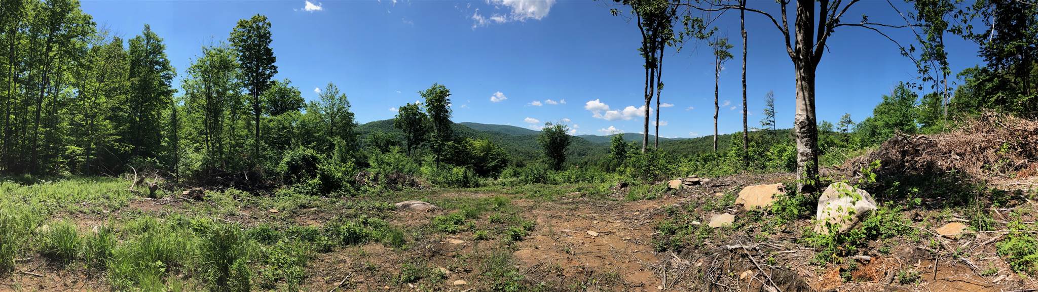 Own a beautiful piece of land on a hillside with...