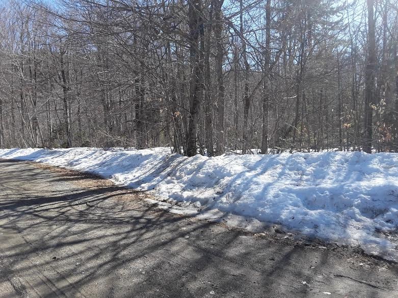 High pretty wooded lot facing SE. In small...