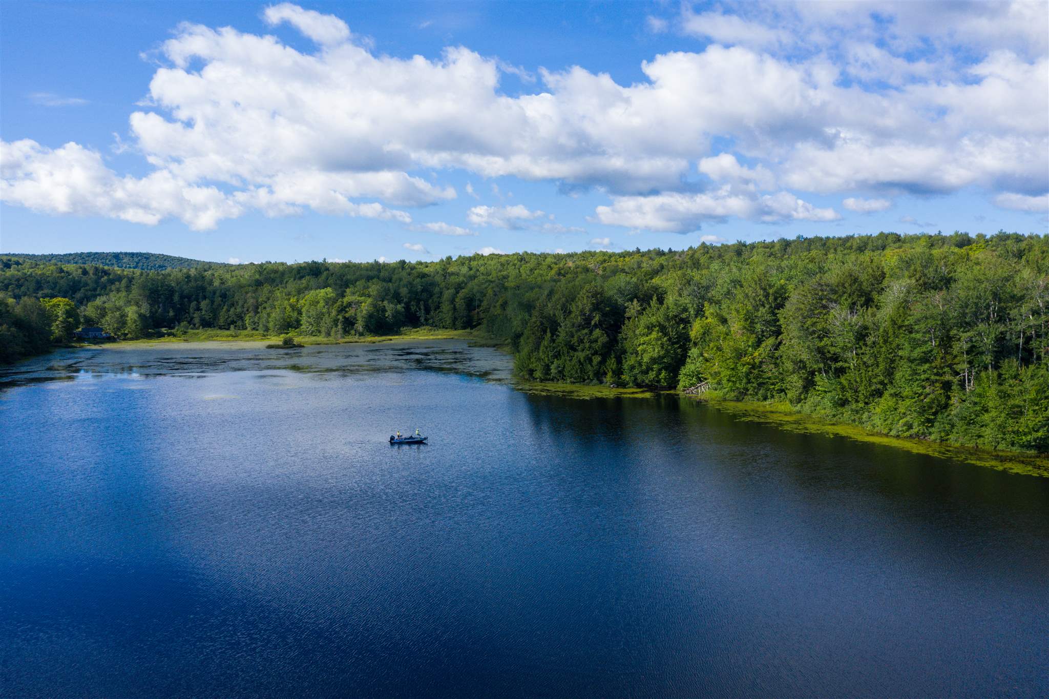 Just imagine 224.5 acres of lush greenery and...