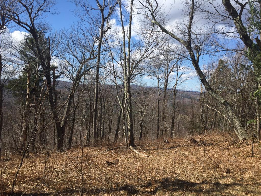 Imagine hiking up a wonderful forest trail and...