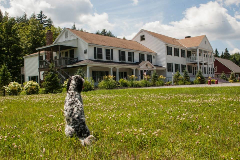 A True Southern Vermont Treasure! Layla's...