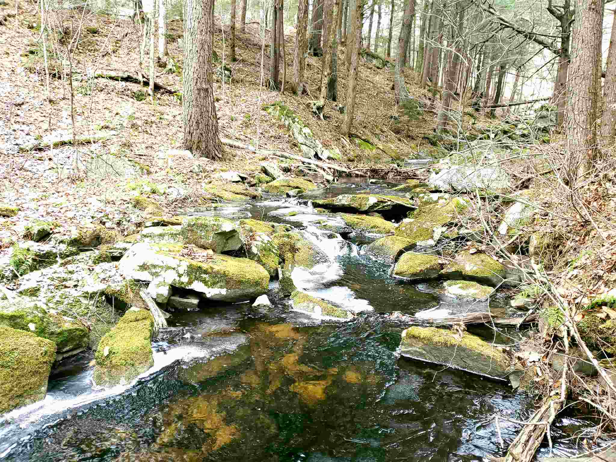 This fabulous 265.8 +/- acre property includes a...