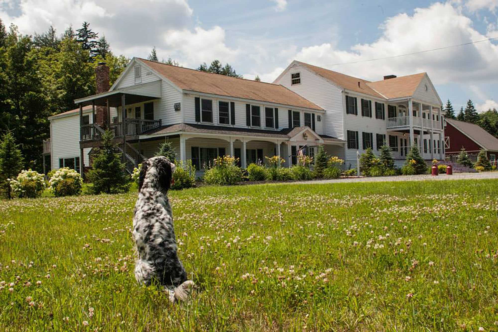 Layla's Riverside Lodge is the home of the...