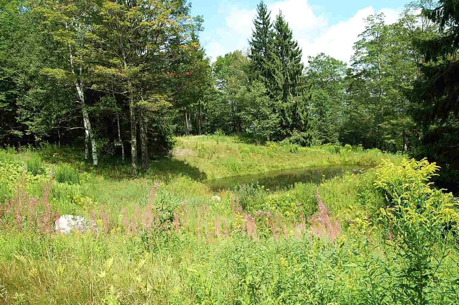 The only trailside lot still unbuilt at the...