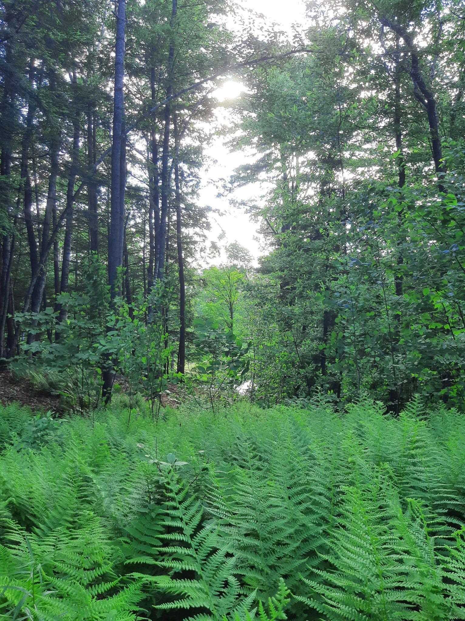 Location, location, location! Stunning 64 acres...