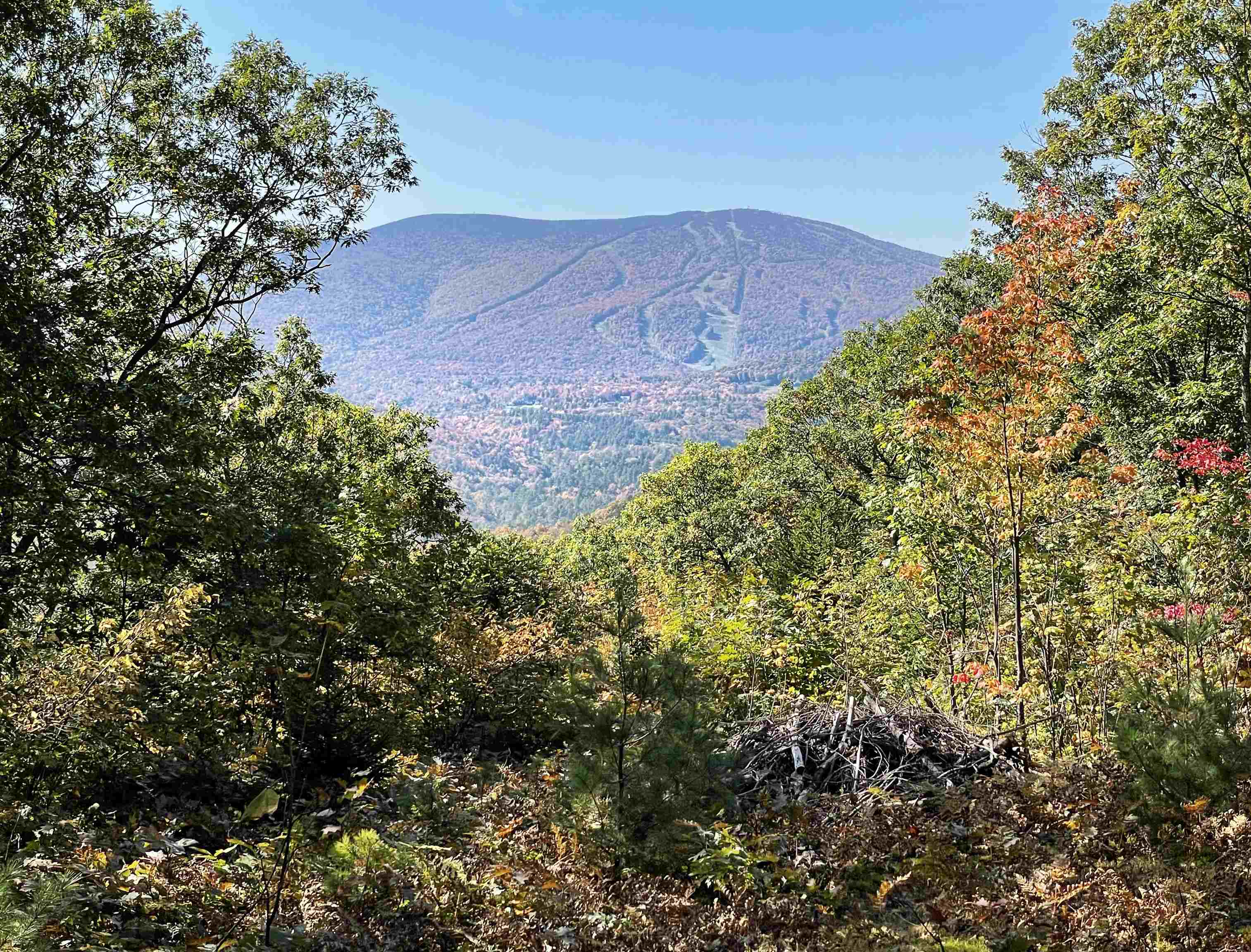 This 600+/- acre private, unrestricted property...