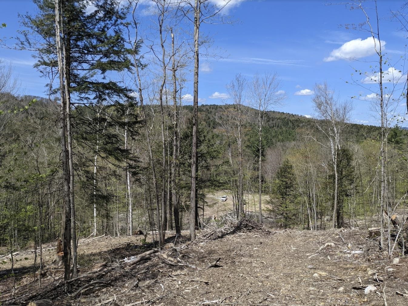 58.7  Acres in Windham VT. This Parcel is a...
