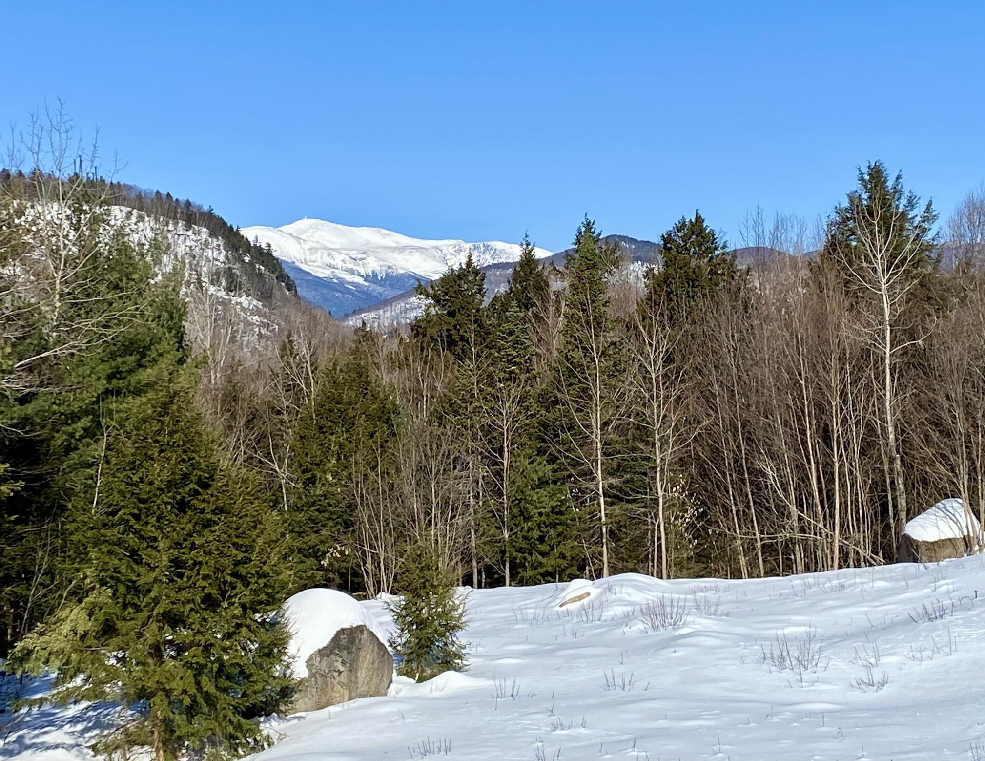 D14 Christmas Mountain Road photo