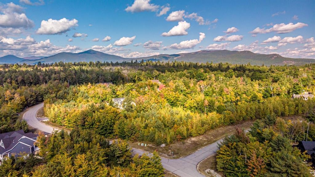 00 Grandview Road Unit: Lot #98 on tree photo