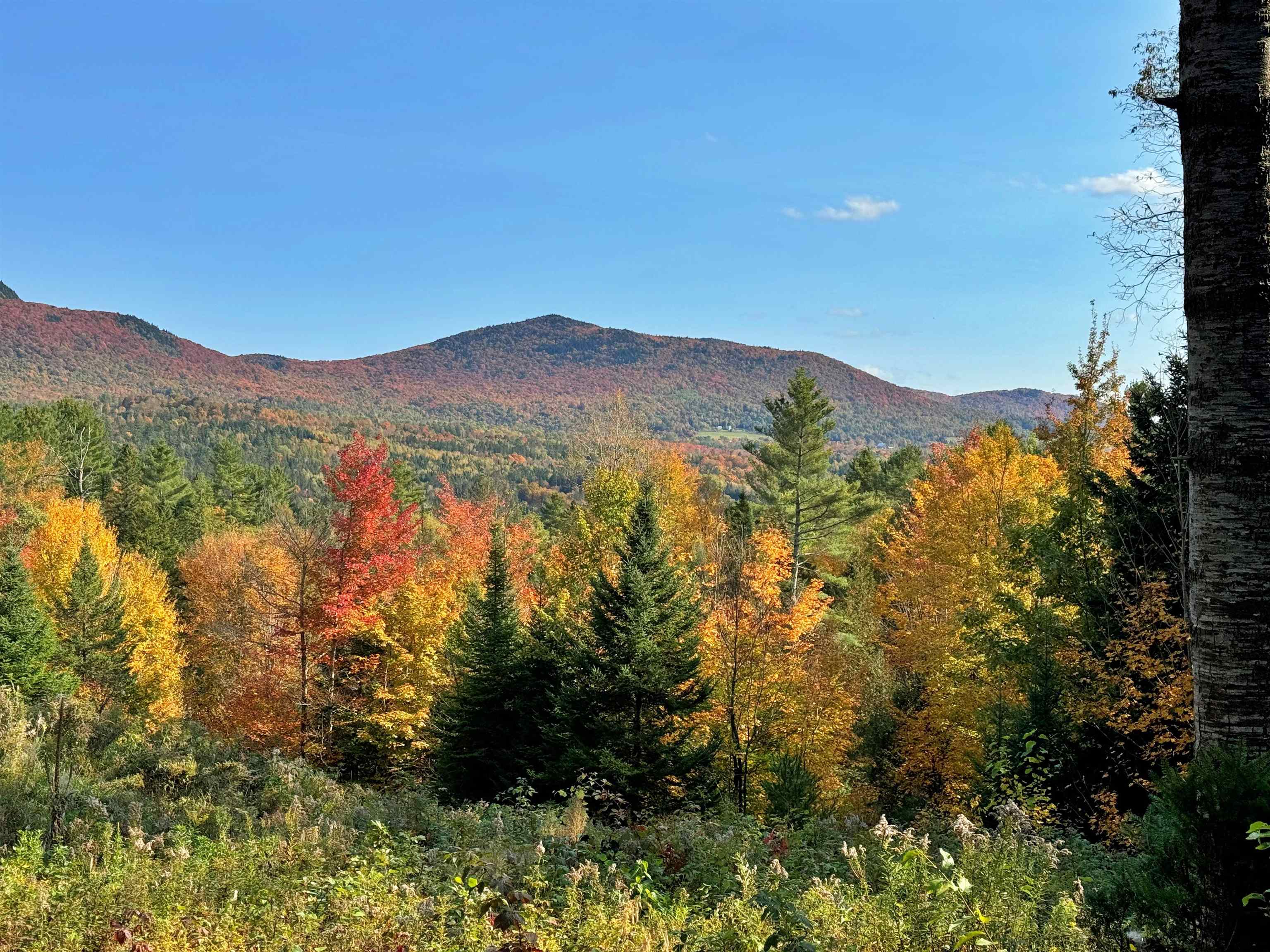 00 East Darling Hill Road Unit: Lot #2 & Lot #3