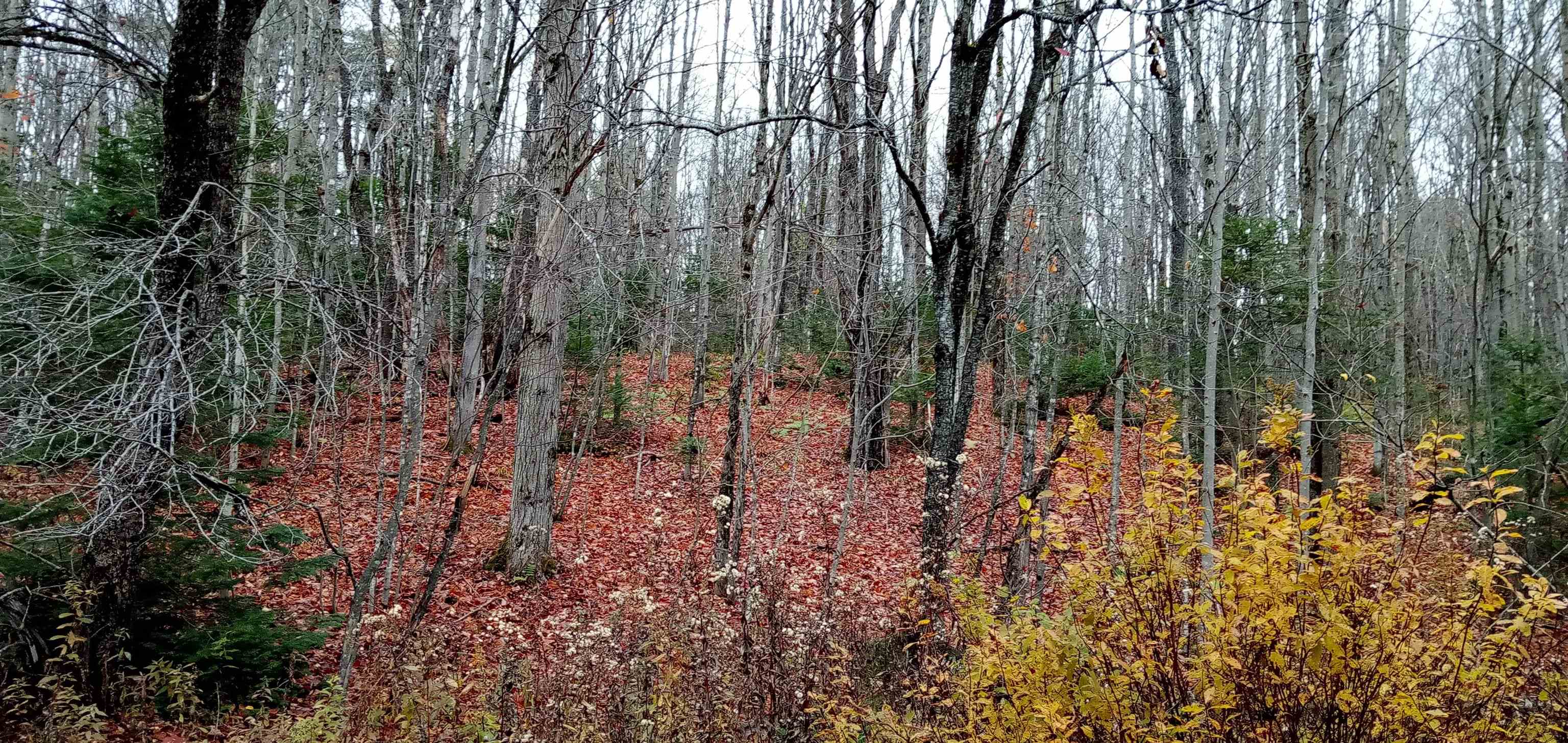 000 Square Road Unit: Lot B