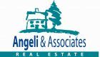 Angeli & Associates Real Estate logo