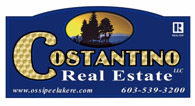 Costantino Real Estate LLC logo