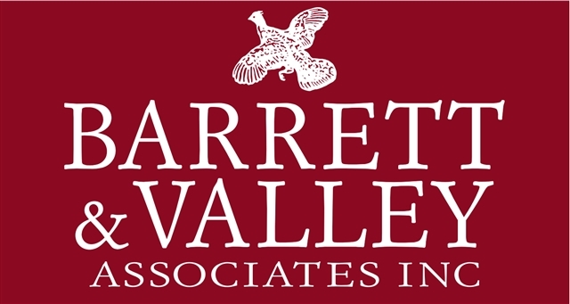 Barrett & Valley Associates, Inc/Sprin Logo