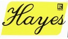 Hayes Real Estate logo