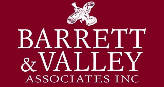 Barrett & Valley Associates, Inc/Sprin logo