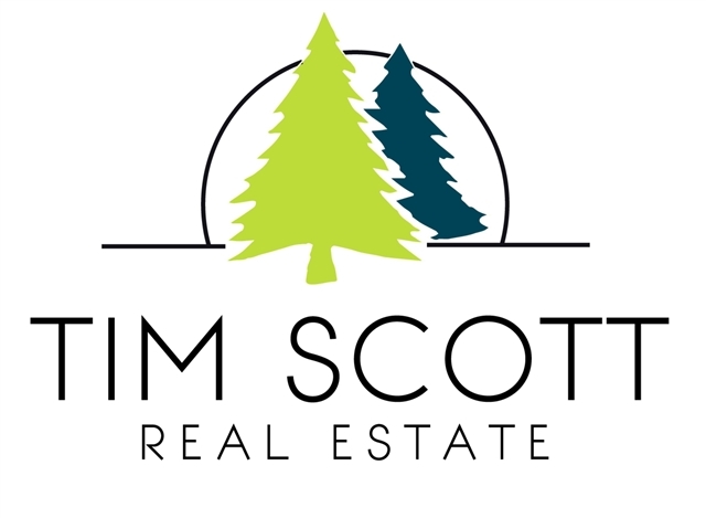 Tim Scott Real Estate logo