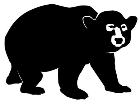 Big Bear Real Estate Logo