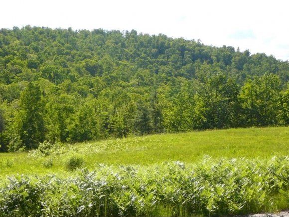 DORCHESTER NH Land / Acres for sale