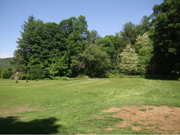 VILLAGE OF PROCTORSVILLE IN TOWN OF CAVENDISH VT Land / Acres for sale