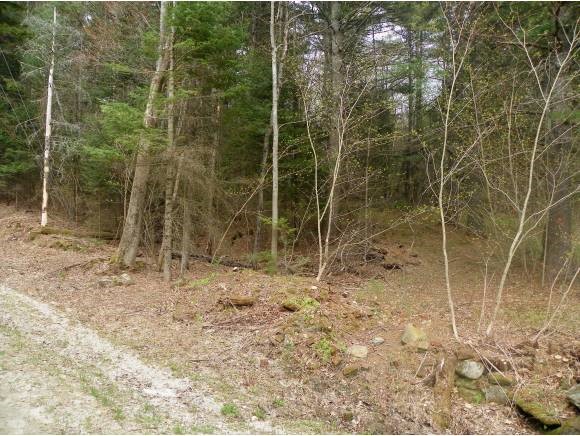 ORANGE NH Land / Acres for sale