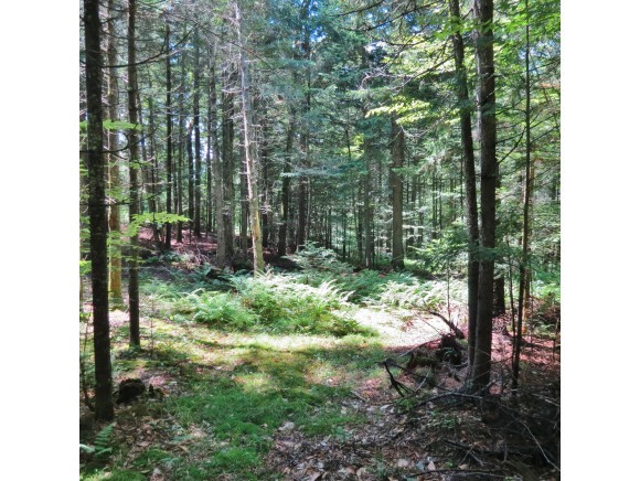 VILLAGE OF PROCTORSVILLE IN TOWN OF CAVENDISH VT Land / Acres for sale