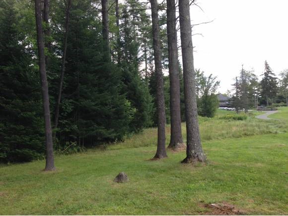 VILLAGE OF EASTMAN IN TOWN OF GRANTHAM NH Land / Acres for sale