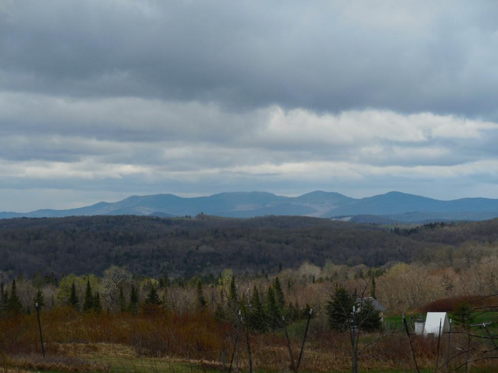 Cobb Road, Walden, VT, Vermont 05873, Walden real estate, Walden home