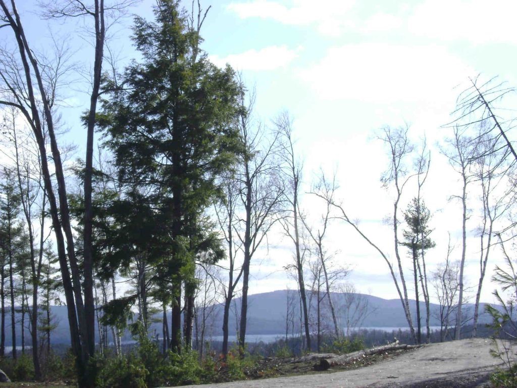 SUNAPEE NH Land / Acres for sale
