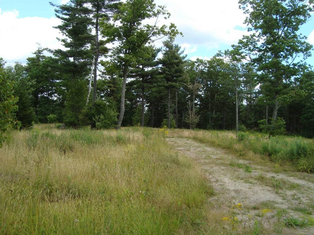 SUNAPEE NH Land / Acres for sale