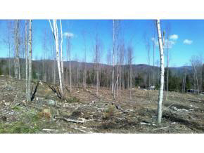 GROTON NH Land / Acres for sale
