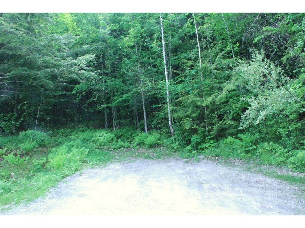 SPRINGFIELD NH Land / Acres for sale