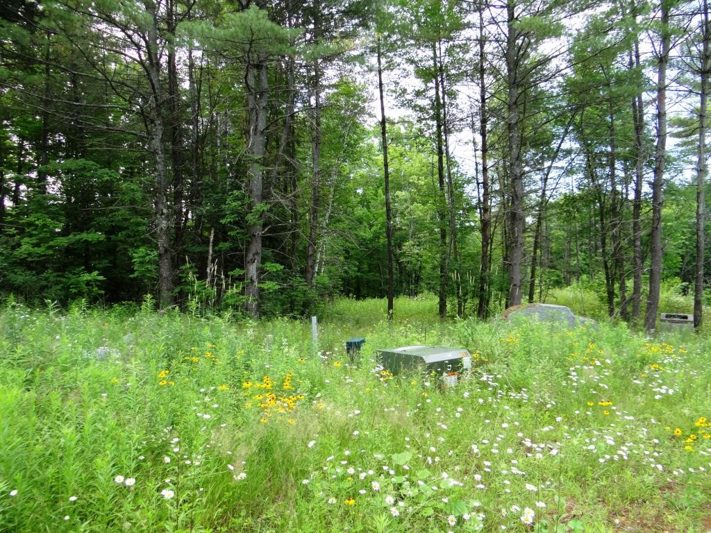 PLAINFIELD NH Land / Acres for sale