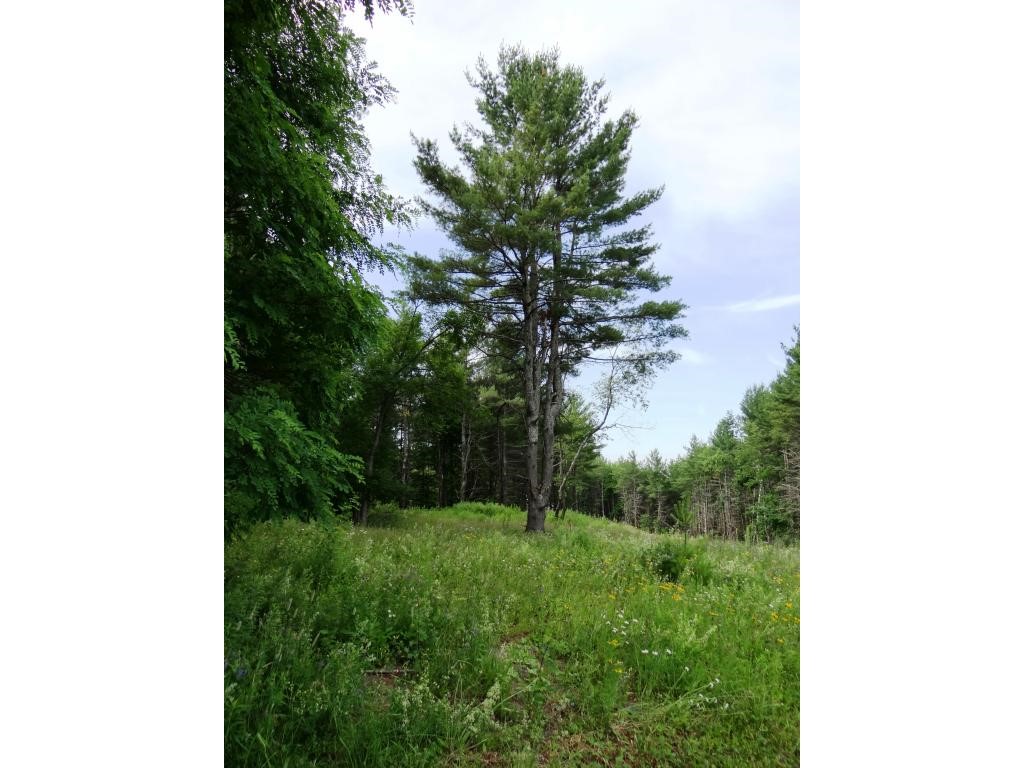 PLAINFIELD NH Land / Acres for sale