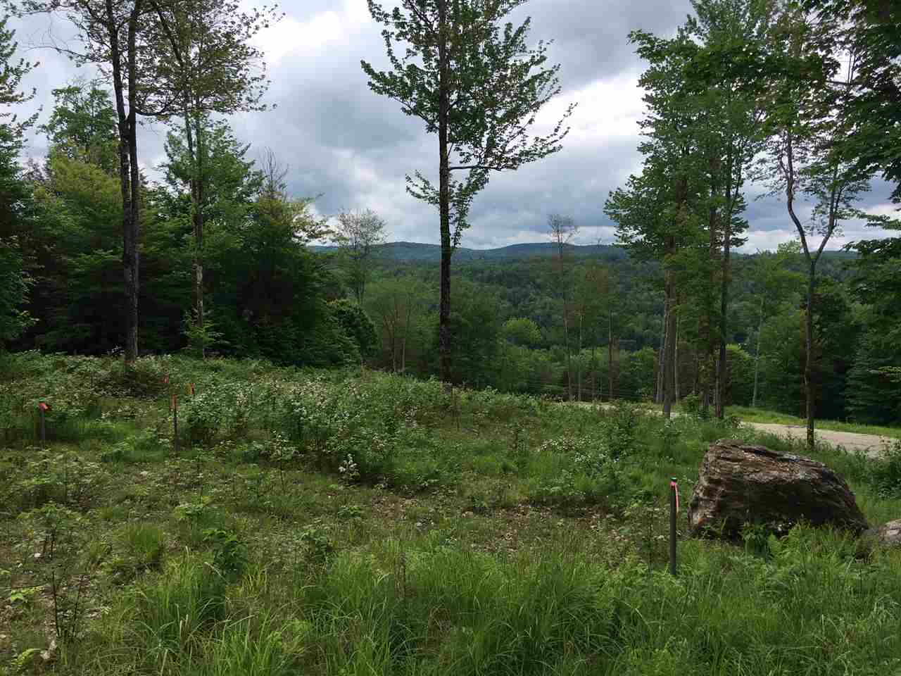 Lot 6 Majestic Heights Road Stowe, VT Photo