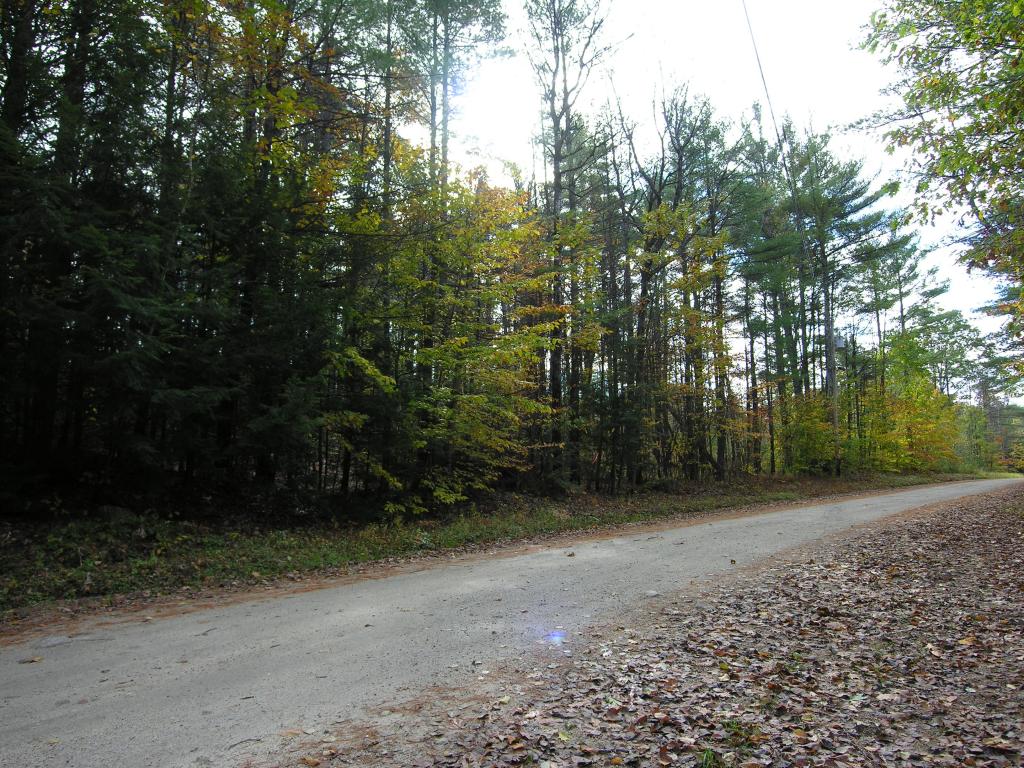 NEWBURY NH Land / Acres for sale