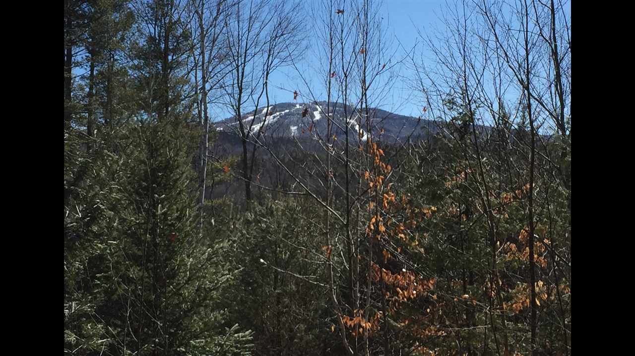 SUNAPEE NH Land / Acres for sale