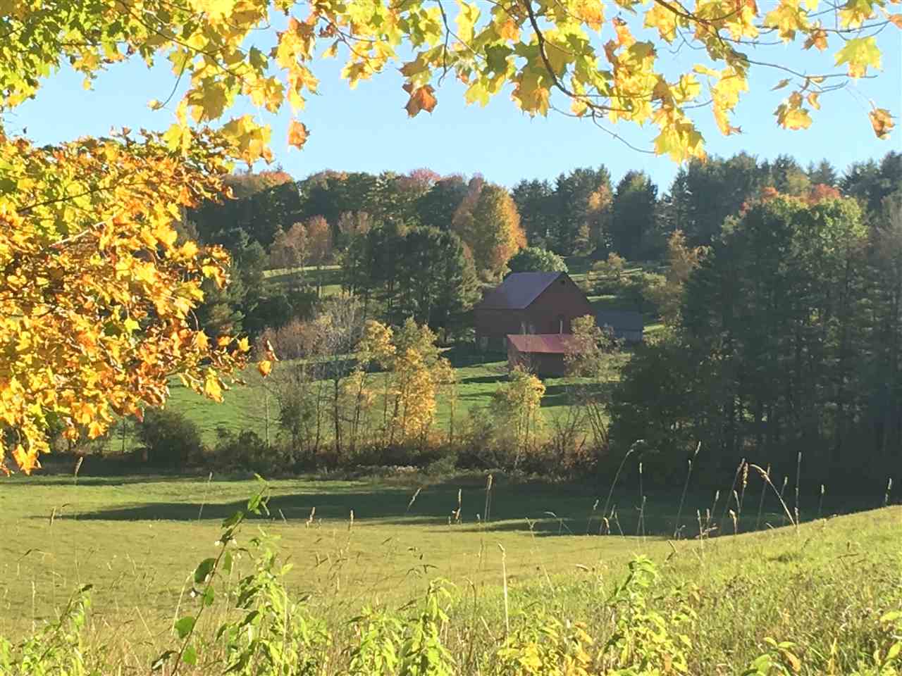West Windsor VT Land Acres 49.9