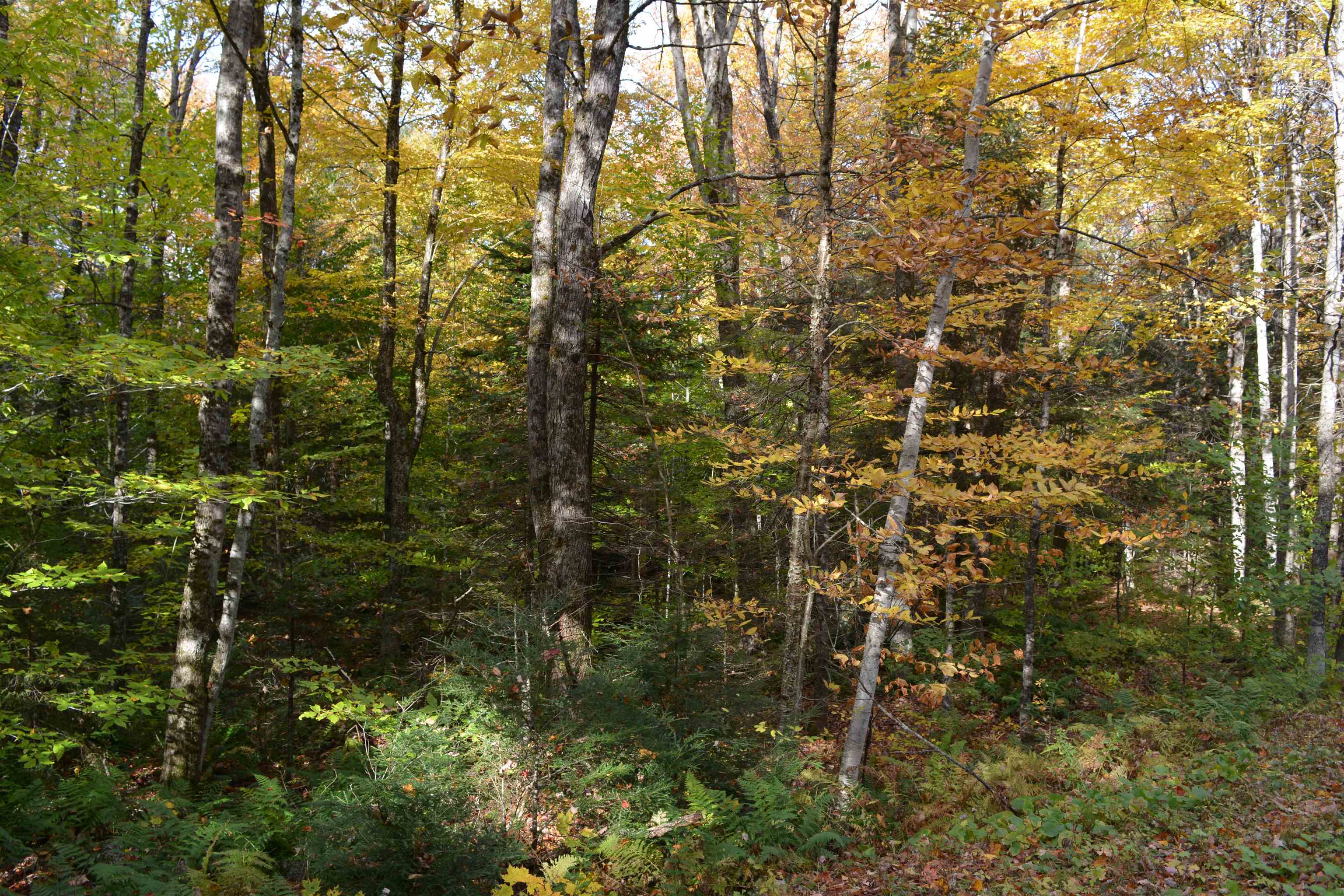 VILLAGE OF EASTMAN IN TOWN OF GRANTHAM NH Land / Acres for sale