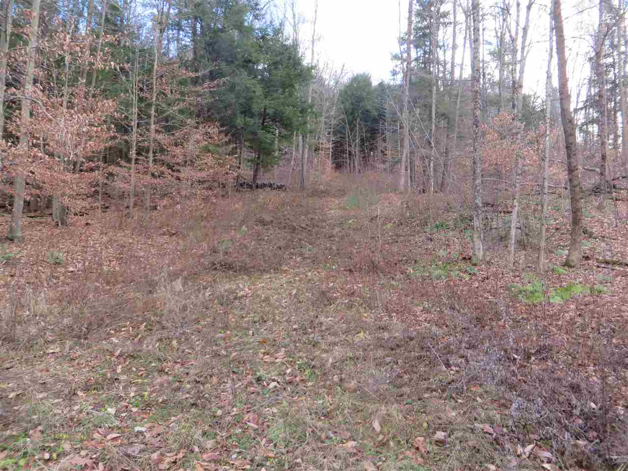 Springfield Vermont Land / Acres For Sale page 1