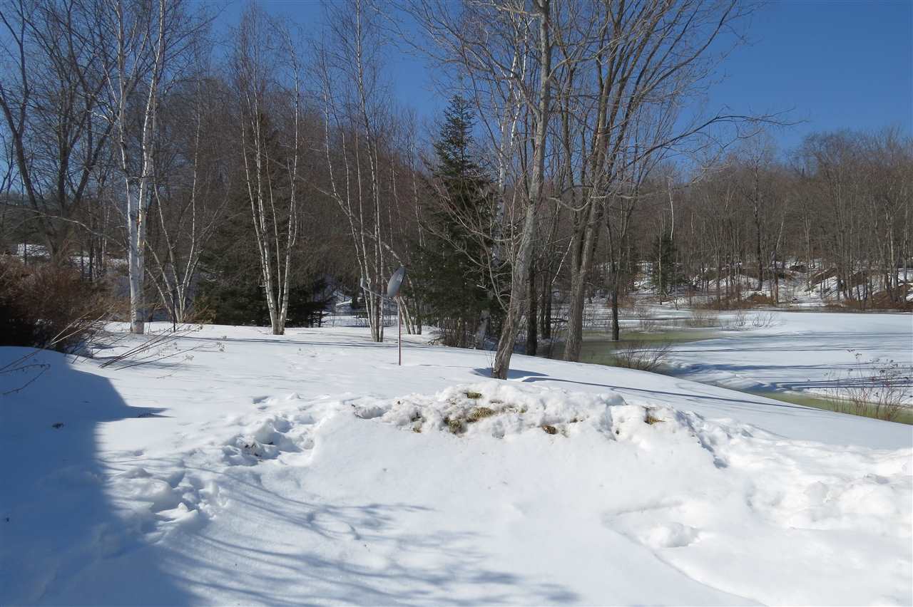 Mount Holly Real Estate 4117 103 Route VT 05758 85,000