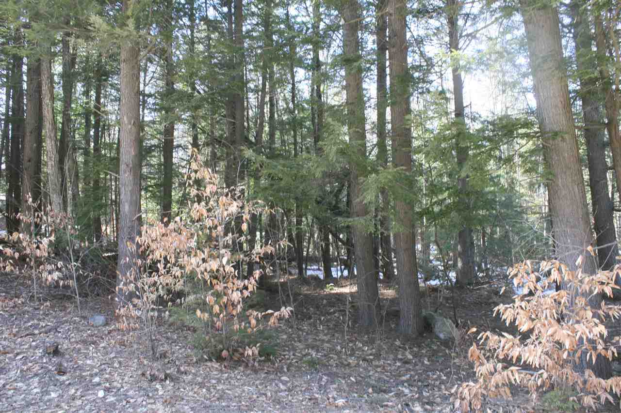 Photo of Beaver Road Strafford NH 03884