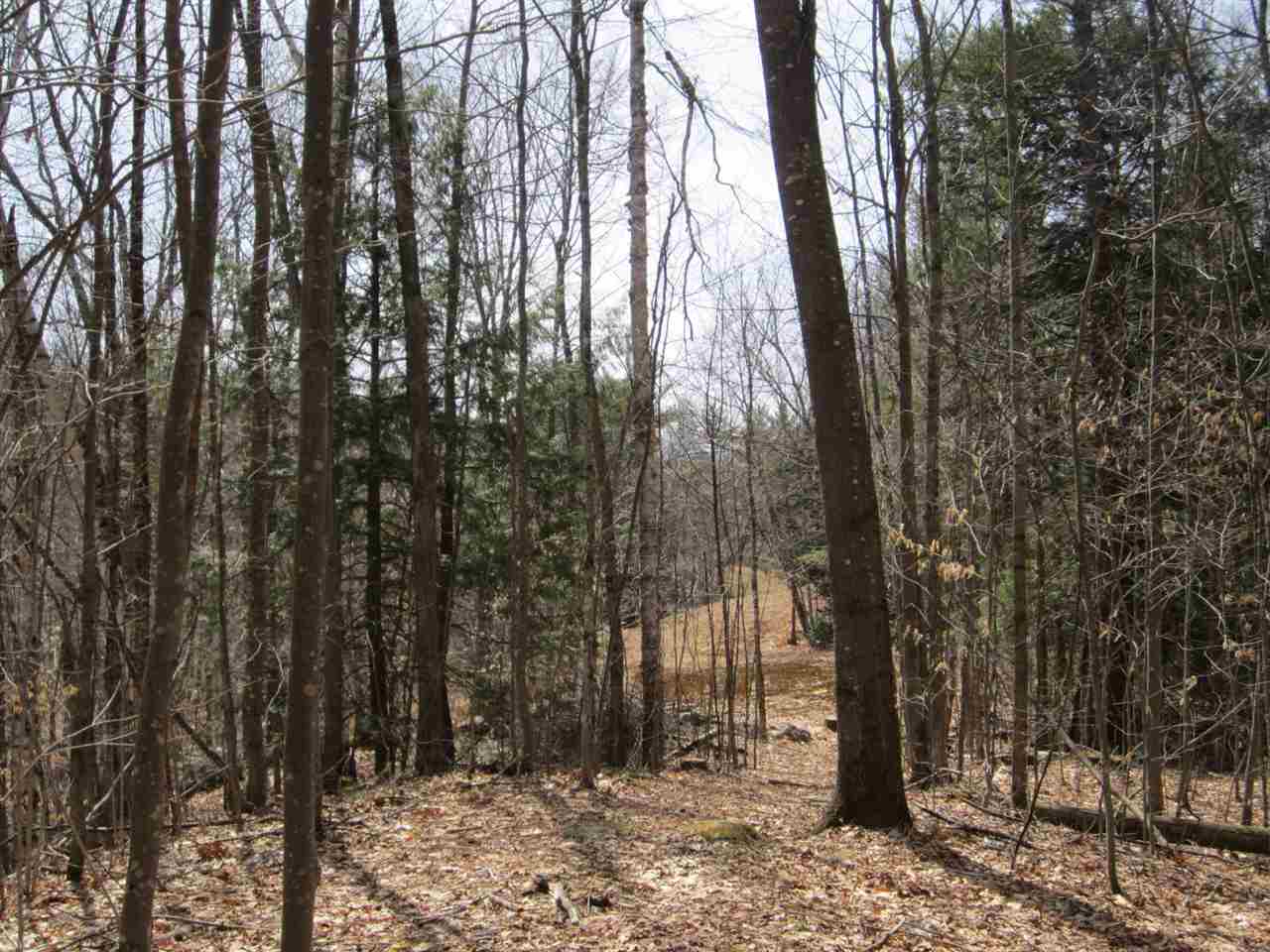 SPRINGFIELD NH Land / Acres for sale