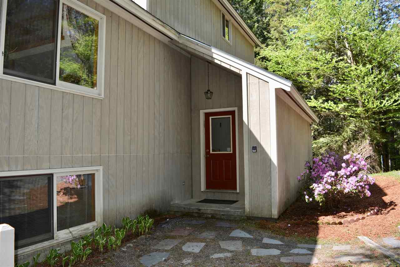 VILLAGE OF EASTMAN IN TOWN OF GRANTHAM NH Homes for sale