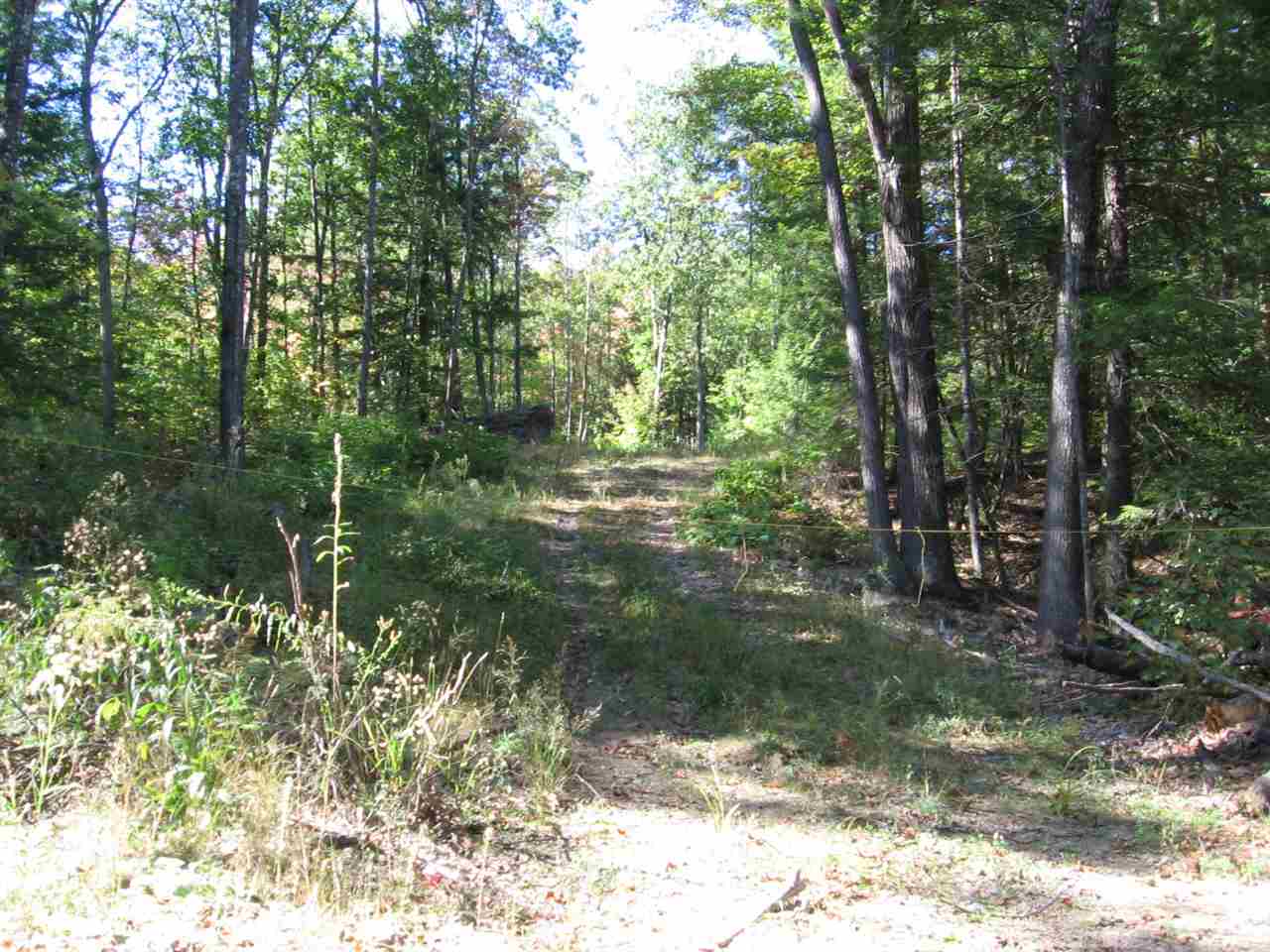 GRAFTON NH Land / Acres for sale