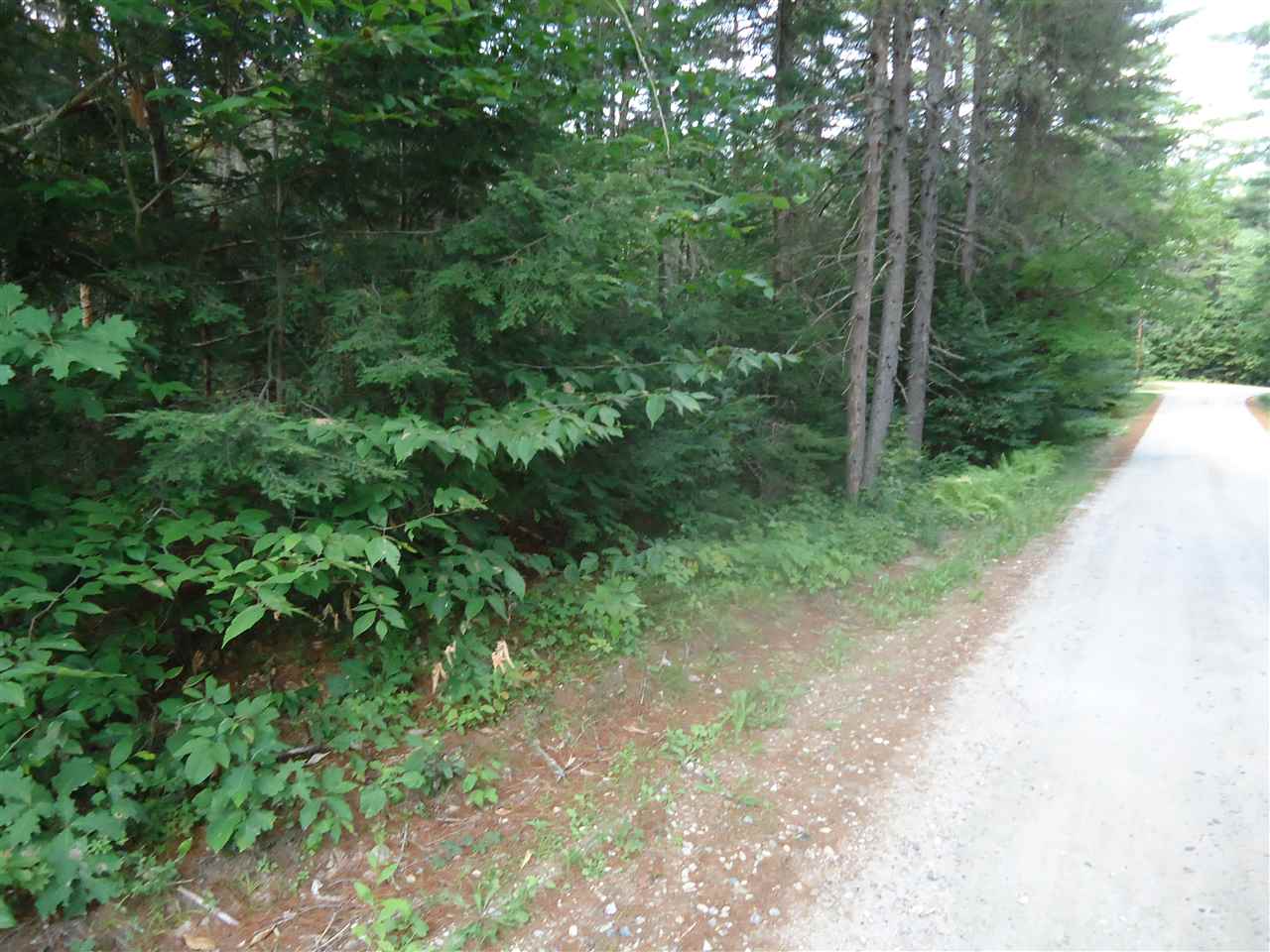 DANBURY NH Land / Acres for sale