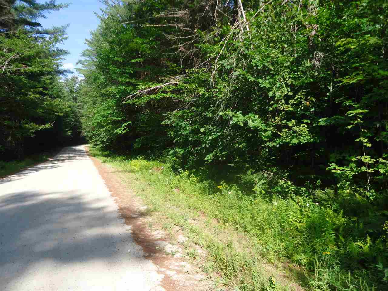 DANBURY NH Land / Acres for sale