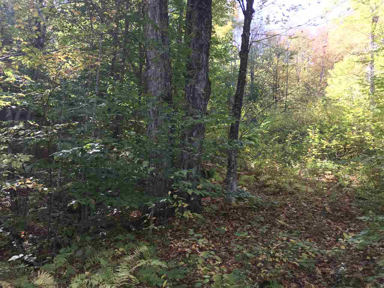 NEWBURY NH Land / Acres for sale